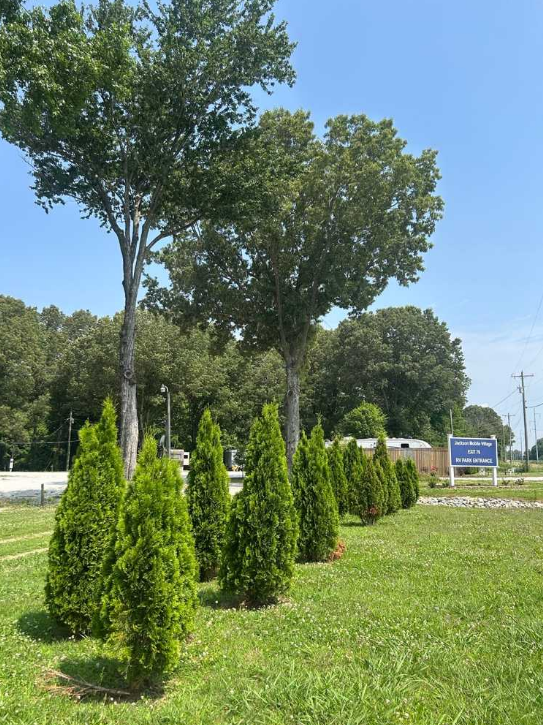 Captura de tela 2026-01-06 142259