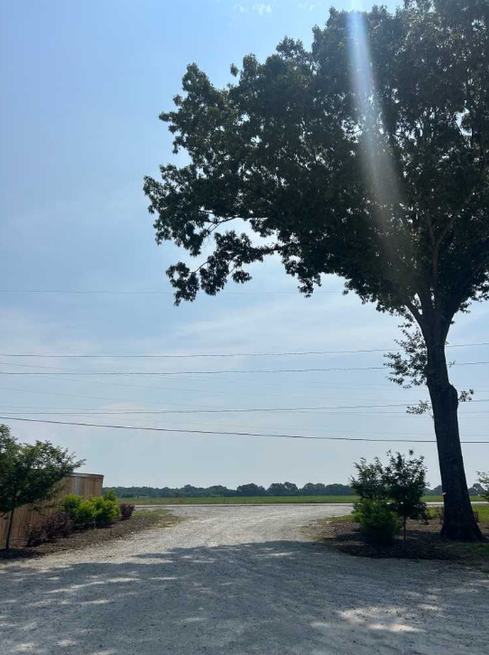 Captura de tela 2026-01-06 142325